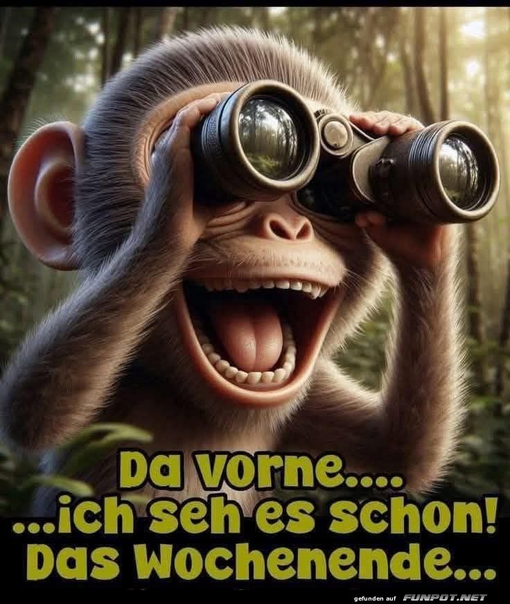 Affenblick auf das Wochenende!